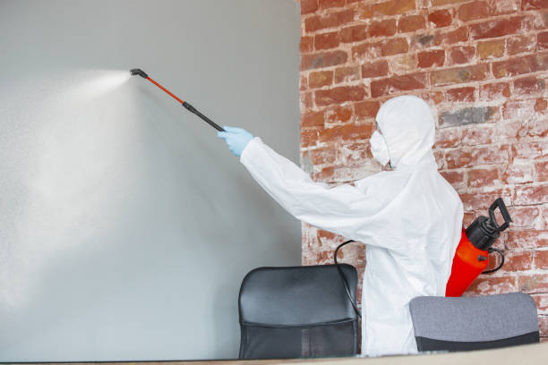 Best Forensic Mold Investigation  in Lambertville, MI