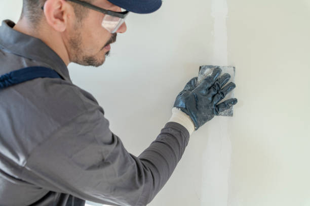 Best Crawl Space Mold Remediation  in Lambertville, MI
