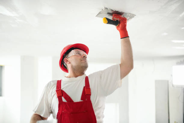 Best Comprehensive Air Testing for Mold Contaminants  in Lambertville, MI