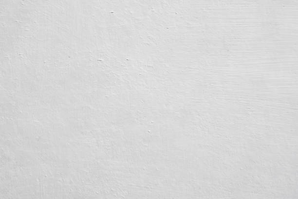 Best Emergency Mold Remediation  in Lambertville, MI