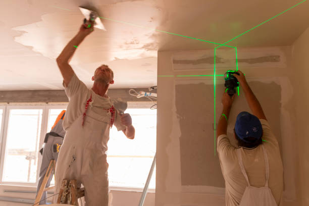 Best Black Mold Removal  in Lambertville, MI