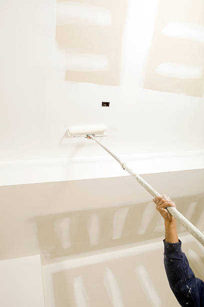  Lambertville, MI Mold Removal Pros