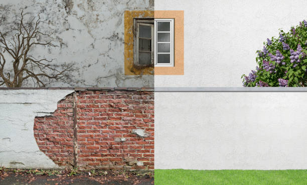 Best Water Damage & Mold Remediation  in Lambertville, MI