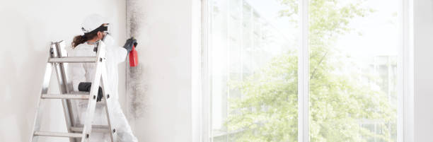 Best Residential Mold Inspection & Testing  in Lambertville, MI