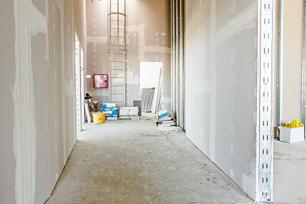 Best Mold Removal for HVAC Installations  in Lambertville, MI