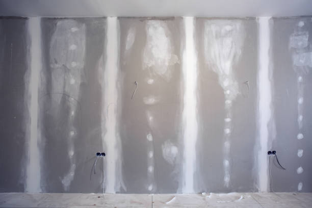 Best Water Damage & Mold Remediation  in Lambertville, MI